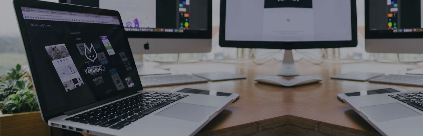 Website Design and Development